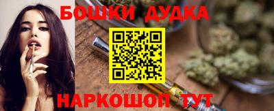 стаф Кингисепп