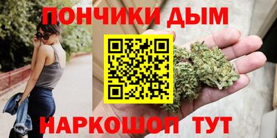 стаф Кингисепп