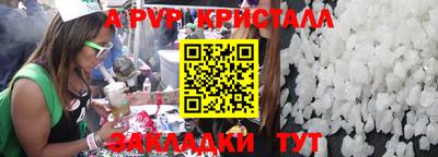 стаф Кингисепп