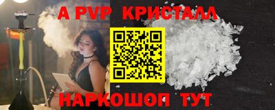 стаф Кингисепп